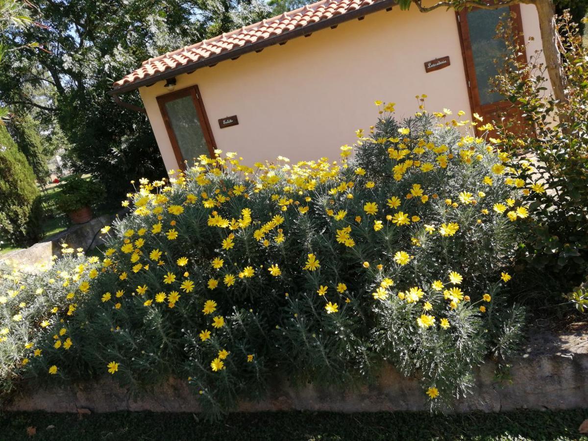 רוקסטראדה Il Podere Di Sole מראה חיצוני תמונה