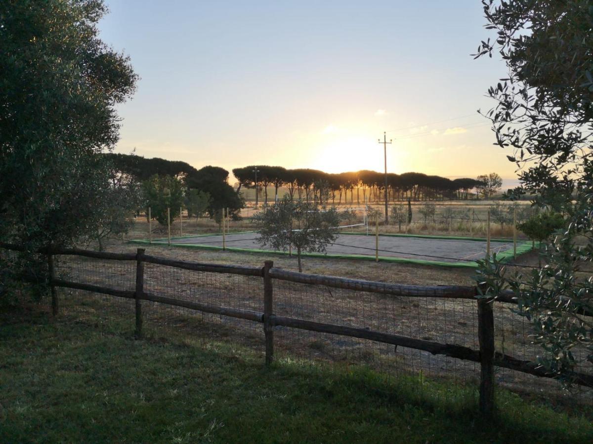 רוקסטראדה Il Podere Di Sole מראה חיצוני תמונה