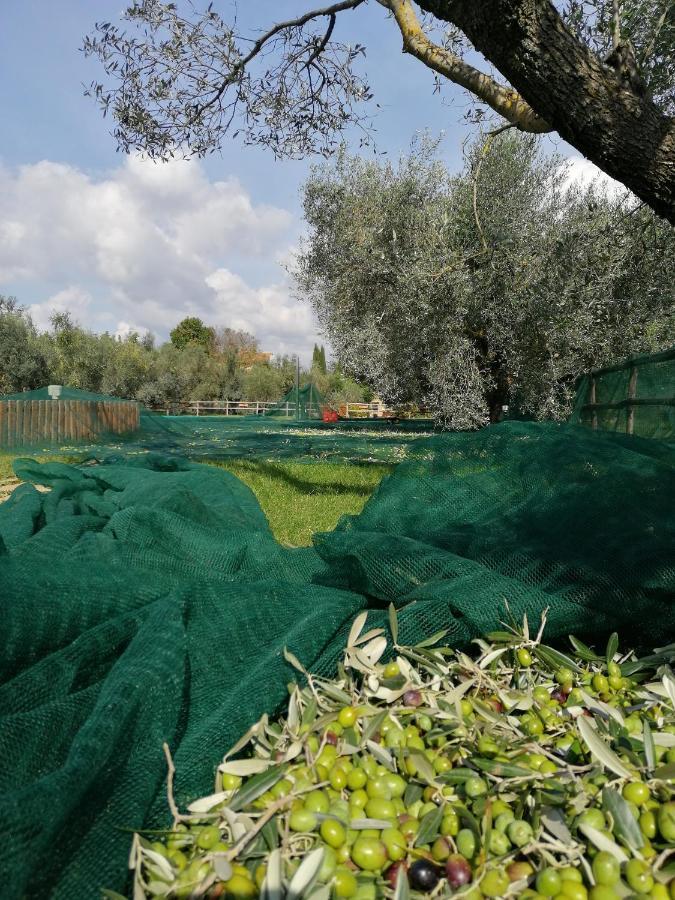 רוקסטראדה Il Podere Di Sole מראה חיצוני תמונה