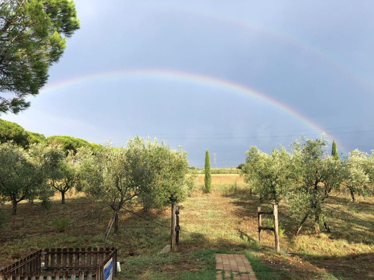 רוקסטראדה Il Podere Di Sole מראה חיצוני תמונה