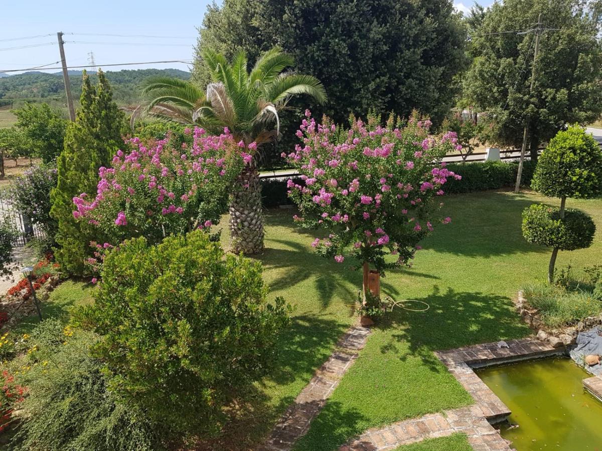 רוקסטראדה Il Podere Di Sole מראה חיצוני תמונה