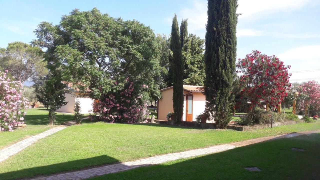 רוקסטראדה Il Podere Di Sole מראה חיצוני תמונה